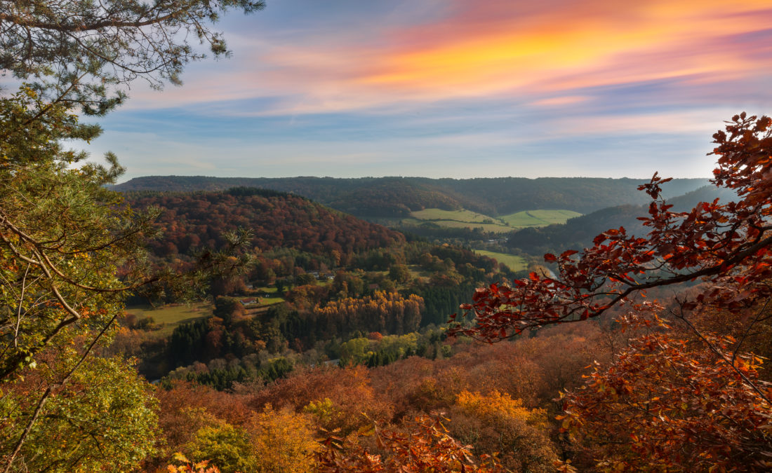 Mullerthal Luxembourg VTT Suisse