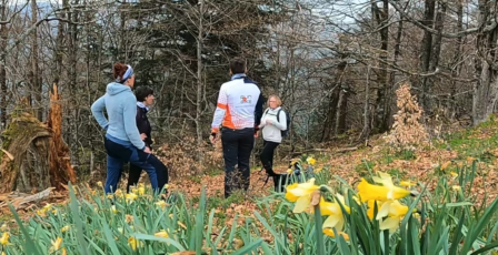 Run and Bike : Vidéo : Rando dans les Vosges au printemps